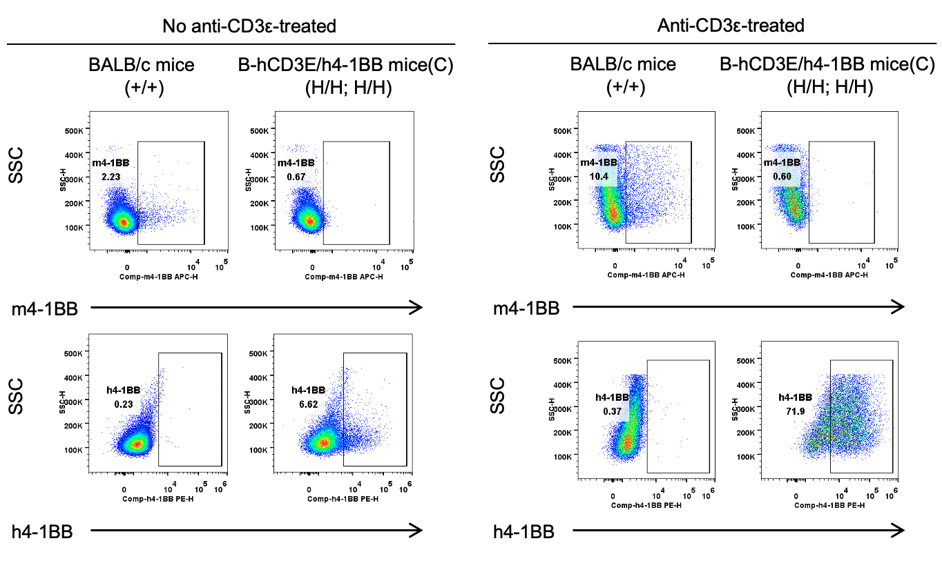 B-hCD3E/h4-1BB Mice(C) - Biocytogen